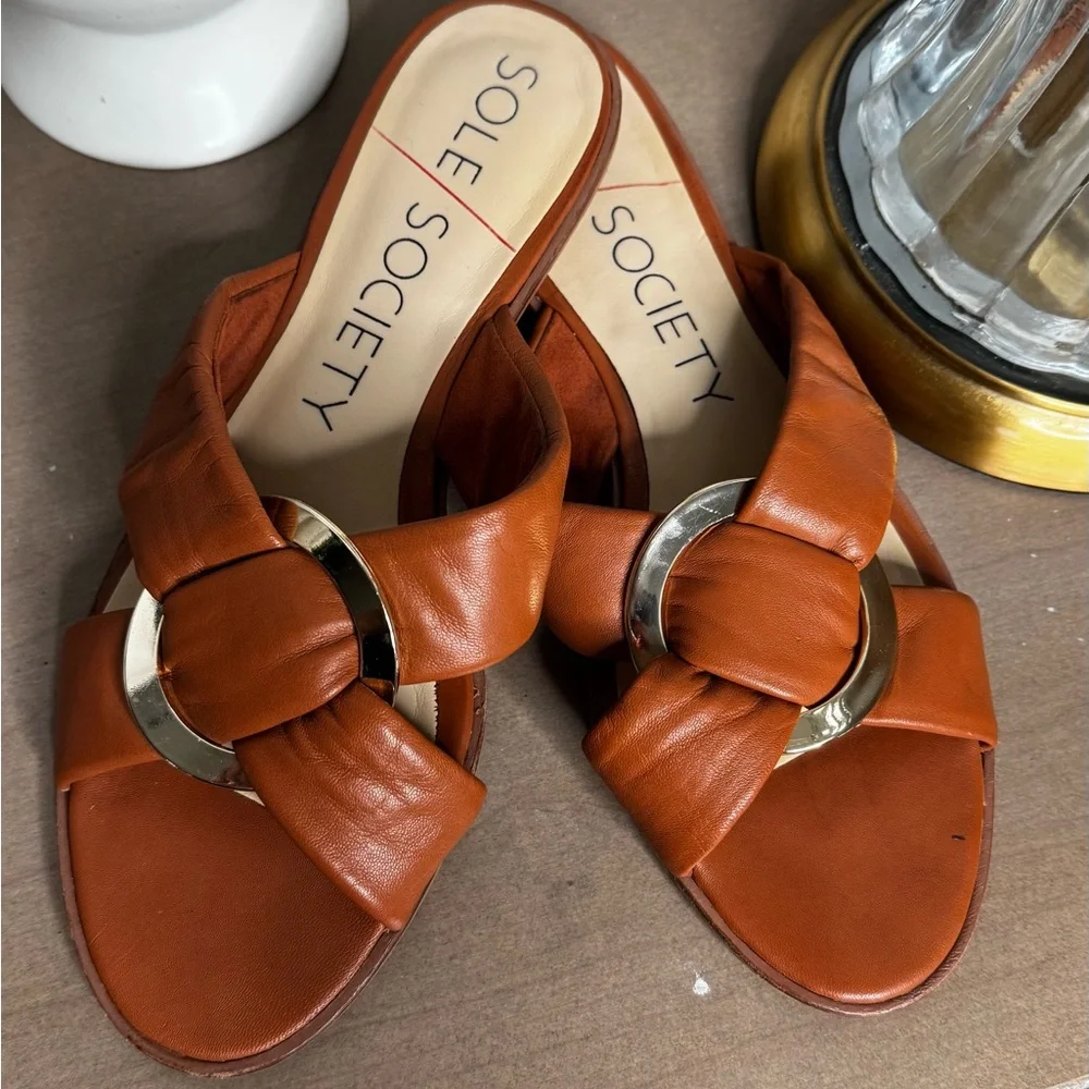 Sole Society Women's Brown Slide Sandals